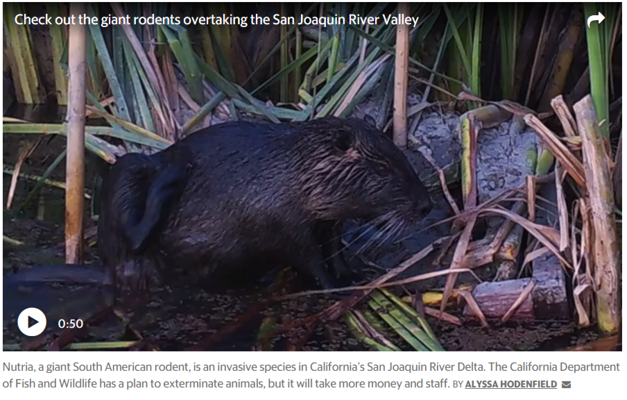 Fly breeder? Nutria killer? These five unusual California state jobs might  surprise you.” - California State Scientists