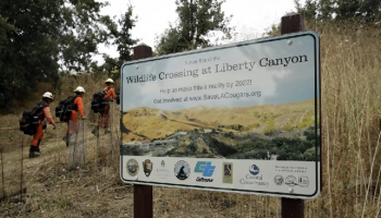 wildlife crossing sign