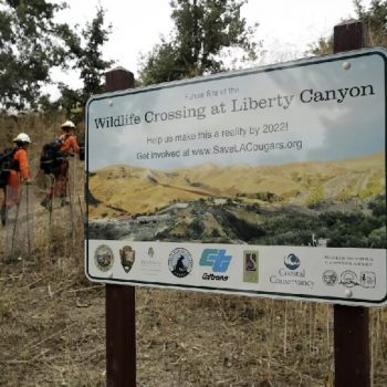 wildlife crossing sign