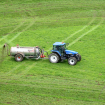 spraying field