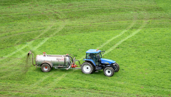 spraying field