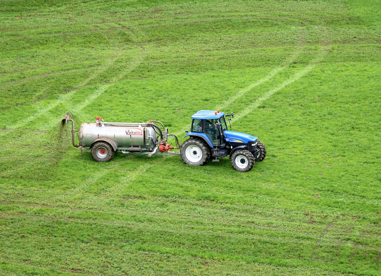 spraying field