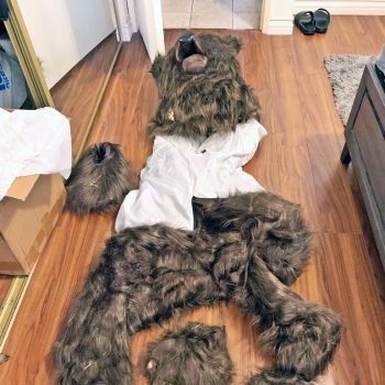 bear costume